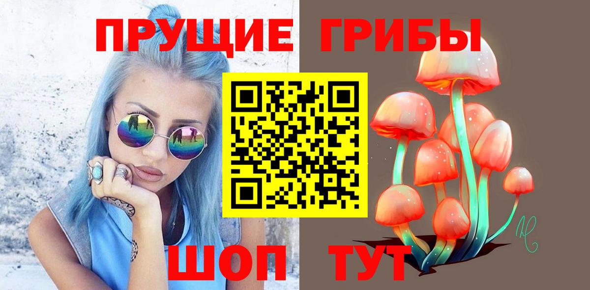 Галлюциногенные грибы GOLDEN TEACHER  Вход с VPN  Сальск 