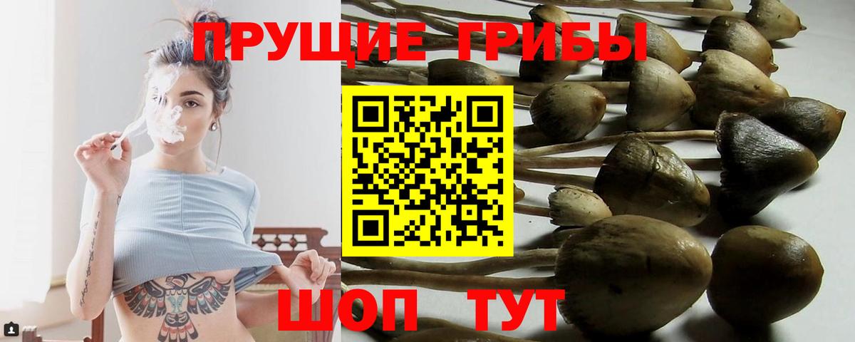 Галлюциногенные грибы прущие грибы Сальск